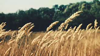 ip攻击器网页版